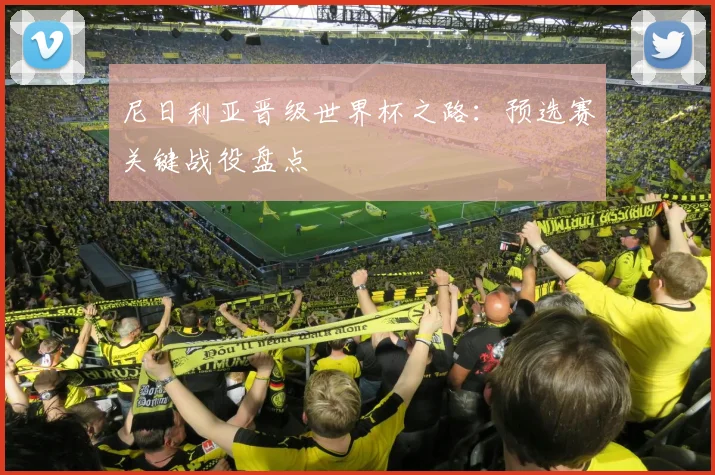 尼日利亚晋级世界杯之路:预选赛关键战役盘点